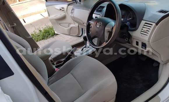 Buy Used Toyota Axio White Car in Nairobi in Nairobi Buy Used Toyota Axio White Car in Nairobi in Nairobi