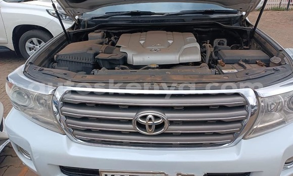 Buy Used Toyota Land Cruiser White Car in Nairobi in Nairobi Buy Used Toyota Land Cruiser White Car in Nairobi in Nairobi
