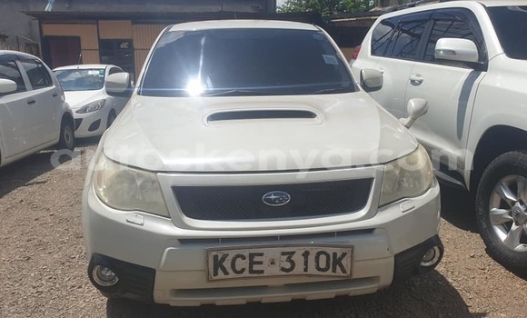 Buy Used Subaru Forester White Car in Nairobi in Nairobi Buy Used Subaru Forester White Car in Nairobi in Nairobi
