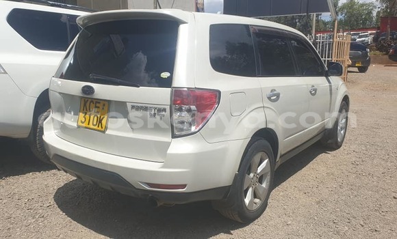 Buy Used Subaru Forester White Car in Nairobi in Nairobi Buy Used Subaru Forester White Car in Nairobi in Nairobi