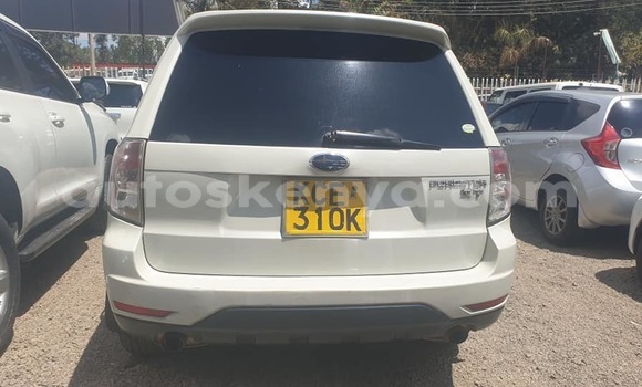 Buy Used Subaru Forester White Car in Nairobi in Nairobi Buy Used Subaru Forester White Car in Nairobi in Nairobi