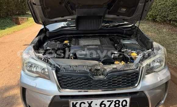 Buy Used Subaru Forester Silver Car in Nairobi in Nairobi Buy Used Subaru Forester Silver Car in Nairobi in Nairobi