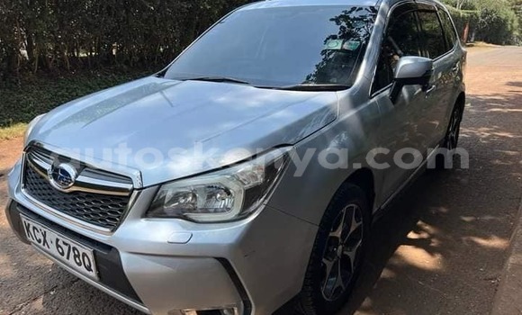 Buy Used Subaru Forester Silver Car in Nairobi in Nairobi Buy Used Subaru Forester Silver Car in Nairobi in Nairobi