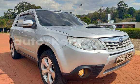 Oofamaa Subaru Forester Silver Makiinaa iti Nairobi keessatti Nairobi keessatti