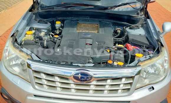 Oofamaa Subaru Forester Silver Makiinaa iti Nairobi keessatti Nairobi keessatti Oofamaa Subaru Forester Silver Makiinaa iti Nairobi keessatti Nairobi keessatti