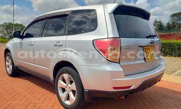 Oofamaa Subaru Forester Silver Makiinaa iti Nairobi keessatti Nairobi keessatti Oofamaa Subaru Forester Silver Makiinaa iti Nairobi keessatti Nairobi keessatti