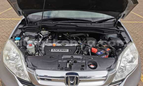 Oofamaa Honda CR–V Silver Makiinaa iti Nairobi keessatti Nairobi keessatti Oofamaa Honda CR–V Silver Makiinaa iti Nairobi keessatti Nairobi keessatti