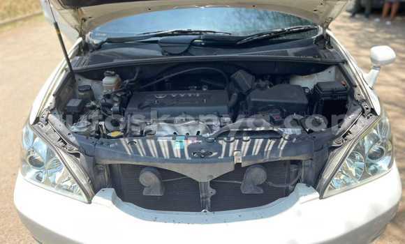 Oofamaa Toyota Harrier White Makiinaa iti Nairobi keessatti Nairobi keessatti Oofamaa Toyota Harrier White Makiinaa iti Nairobi keessatti Nairobi keessatti