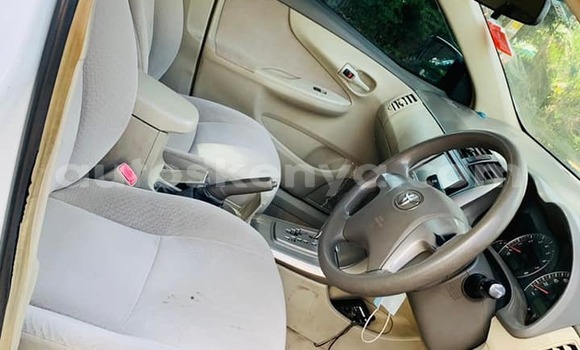 Oofamaa Toyota Axio White Makiinaa iti Nairobi keessatti Nairobi keessatti Oofamaa Toyota Axio White Makiinaa iti Nairobi keessatti Nairobi keessatti