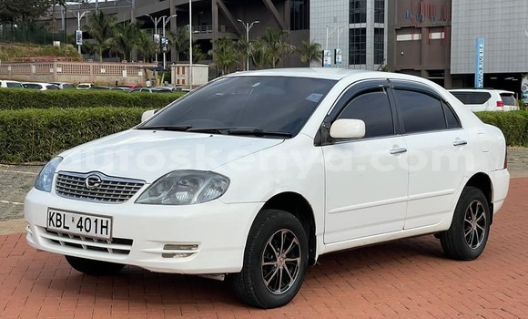 Buy Used Toyota Corolla White Car in Kiambu in Central Kenya Buy Used Toyota Corolla White Car in Kiambu in Central Kenya