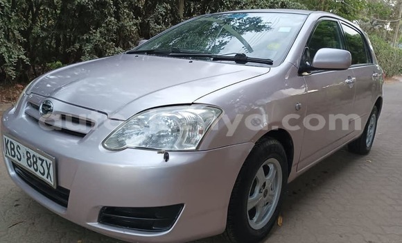 Oofamaa Toyota Runx Silver Makiinaa iti Kiambu keessatti Central Kenya keessatti
