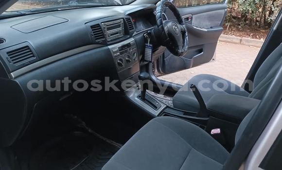 Buy Used Toyota Runx Silver Car in Kiambu in Central Kenya Buy Used Toyota Runx Silver Car in Kiambu in Central Kenya