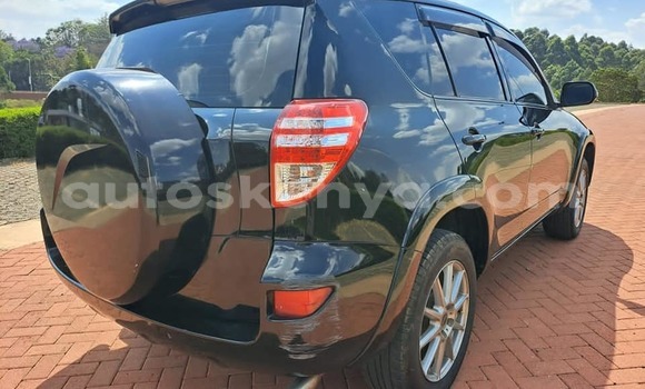 Buy Used Toyota RAV4 Black Car in Kiambu in Central Kenya Buy Used Toyota RAV4 Black Car in Kiambu in Central Kenya
