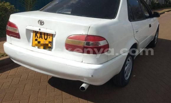 Oofamaa Toyota Corolla White Makiinaa iti Nairobi keessatti Nairobi keessatti Oofamaa Toyota Corolla White Makiinaa iti Nairobi keessatti Nairobi keessatti