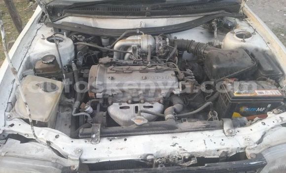 Oofamaa Toyota Succeed White Makiinaa iti Nairobi keessatti Nairobi keessatti Oofamaa Toyota Succeed White Makiinaa iti Nairobi keessatti Nairobi keessatti