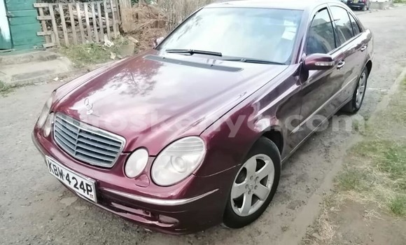 Oofamaa Mercedes‒Benz E–Class Red Makiinaa iti Nairobi keessatti Nairobi keessatti Oofamaa Mercedes‒Benz E–Class Red Makiinaa iti Nairobi keessatti Nairobi keessatti