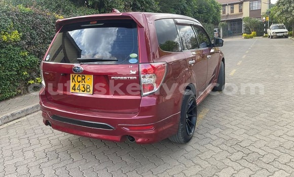 Buy Used Subaru Forester Red Car in Nairobi in Nairobi Buy Used Subaru Forester Red Car in Nairobi in Nairobi