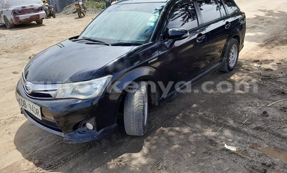 Oofamaa Toyota Fielder Black Makiinaa iti Nairobi keessatti Nairobi keessatti