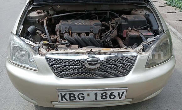 Nunua Ilio tumika Toyota Runx Brown Gari ndani ya Nairobi nchini Nairobi Nunua Ilio tumika Toyota Runx Brown Gari ndani ya Nairobi nchini Nairobi