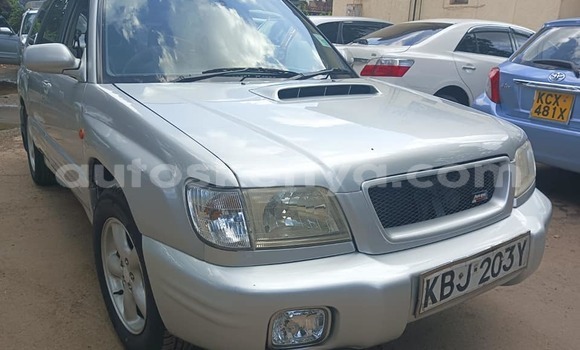 Oofamaa Subaru Forester Silver Makiinaa iti Nairobi keessatti Nairobi keessatti Oofamaa Subaru Forester Silver Makiinaa iti Nairobi keessatti Nairobi keessatti