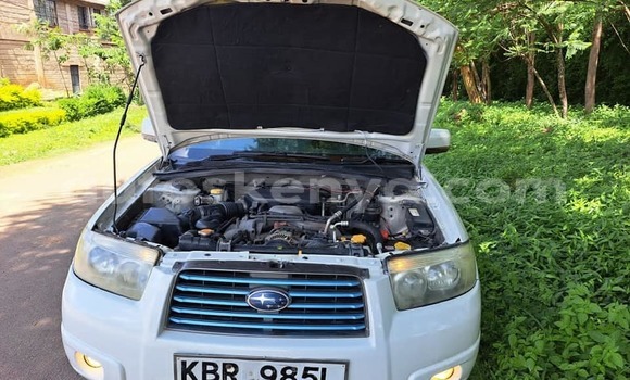Buy Used Subaru Forester White Car in Nairobi in Nairobi Buy Used Subaru Forester White Car in Nairobi in Nairobi