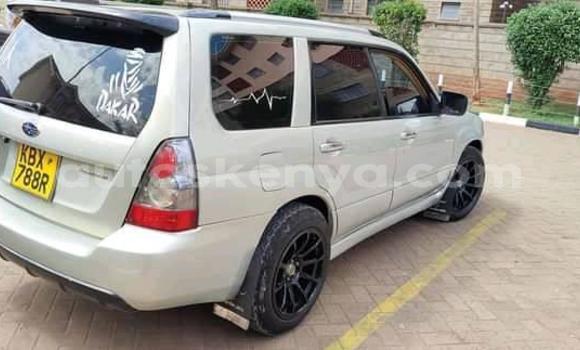 Oofamaa Subaru Forester Silver Makiinaa iti Nairobi keessatti Nairobi keessatti Oofamaa Subaru Forester Silver Makiinaa iti Nairobi keessatti Nairobi keessatti
