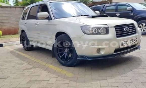 Oofamaa Subaru Forester Silver Makiinaa iti Nairobi keessatti Nairobi keessatti Oofamaa Subaru Forester Silver Makiinaa iti Nairobi keessatti Nairobi keessatti