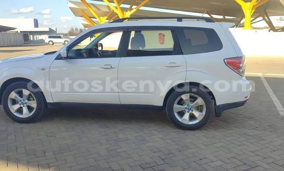 Oofamaa Subaru Forester White Makiinaa iti Nairobi keessatti Nairobi keessatti Oofamaa Subaru Forester White Makiinaa iti Nairobi keessatti Nairobi keessatti