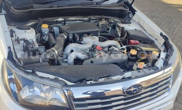 Oofamaa Subaru Forester White Makiinaa iti Nairobi keessatti Nairobi keessatti Oofamaa Subaru Forester White Makiinaa iti Nairobi keessatti Nairobi keessatti