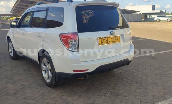 Oofamaa Subaru Forester White Makiinaa iti Nairobi keessatti Nairobi keessatti Oofamaa Subaru Forester White Makiinaa iti Nairobi keessatti Nairobi keessatti