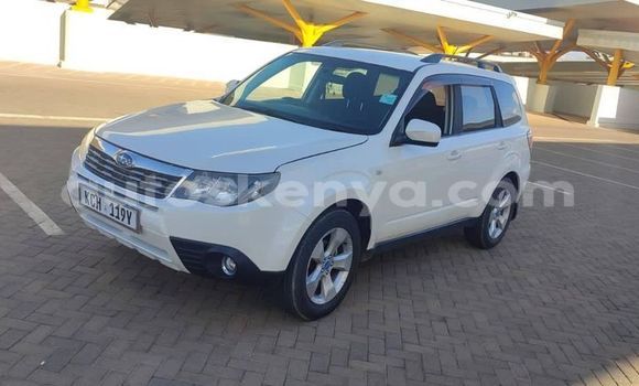 Oofamaa Subaru Forester White Makiinaa iti Nairobi keessatti Nairobi keessatti Oofamaa Subaru Forester White Makiinaa iti Nairobi keessatti Nairobi keessatti