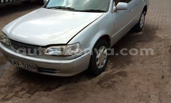 Buy Used Toyota Corolla Silver Car in Nairobi in Nairobi