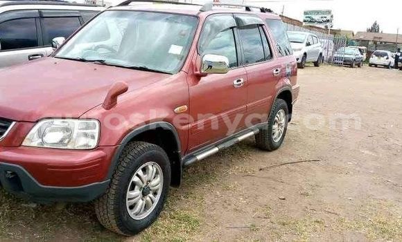 Buy Used Honda CR–V Red Car in Nairobi in Nairobi