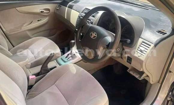 Buy Used Toyota Axio Brown Car in Nairobi in Nairobi Buy Used Toyota Axio Brown Car in Nairobi in Nairobi