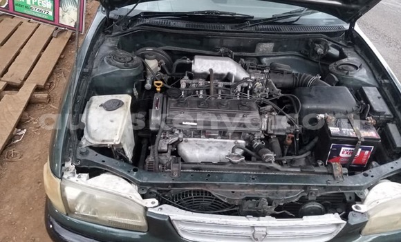 Buy Used Toyota Corolla Green Car in Nairobi in Nairobi Buy Used Toyota Corolla Green Car in Nairobi in Nairobi