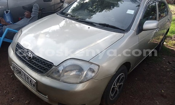 Buy Used Toyota Corolla Silver Car in Nairobi in Nairobi