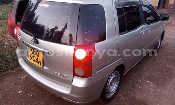 Buy Used Toyota Raum Silver Car in Kiambu in Central Kenya Buy Used Toyota Raum Silver Car in Kiambu in Central Kenya