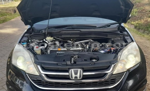 Buy Used Honda CR–V Black Car in Nairobi in Nairobi Buy Used Honda CR–V Black Car in Nairobi in Nairobi