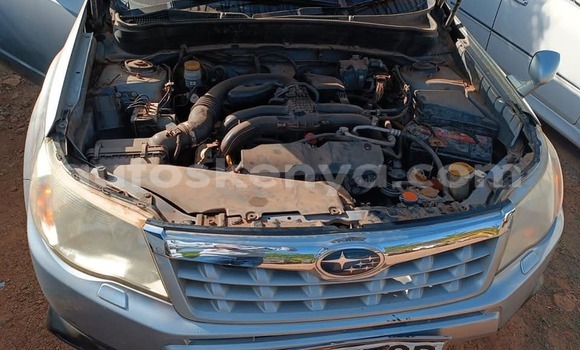 Nunua Ilio tumika Subaru Forester Fedha Gari ndani ya Nairobi nchini Nairobi Nunua Ilio tumika Subaru Forester Fedha Gari ndani ya Nairobi nchini Nairobi