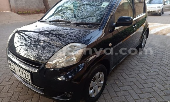 Buy Used Toyota Passo Black Car in Nairobi in Nairobi