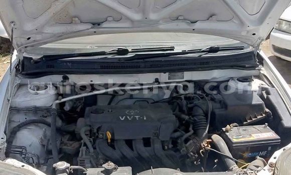 Oofamaa Toyota Corolla White Makiinaa iti Nairobi keessatti Nairobi keessatti Oofamaa Toyota Corolla White Makiinaa iti Nairobi keessatti Nairobi keessatti