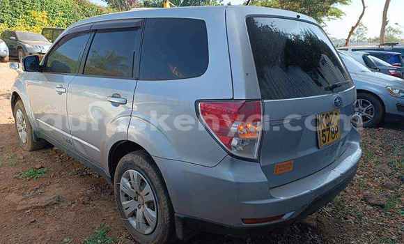 Oofamaa Subaru Forester Blue Makiinaa iti Nairobi keessatti Nairobi keessatti Oofamaa Subaru Forester Blue Makiinaa iti Nairobi keessatti Nairobi keessatti