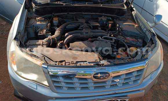 Oofamaa Subaru Forester Blue Makiinaa iti Nairobi keessatti Nairobi keessatti Oofamaa Subaru Forester Blue Makiinaa iti Nairobi keessatti Nairobi keessatti