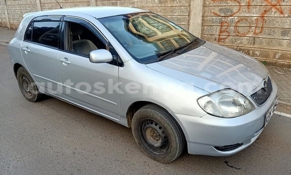 Buy Used Toyota Allex Silver Car in Nairobi in Nairobi Buy Used Toyota Allex Silver Car in Nairobi in Nairobi
