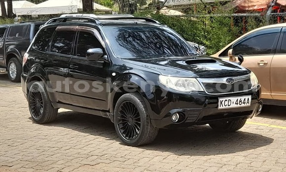 Oofamaa Subaru Forester Black Makiinaa iti Nairobi keessatti Nairobi keessatti Oofamaa Subaru Forester Black Makiinaa iti Nairobi keessatti Nairobi keessatti