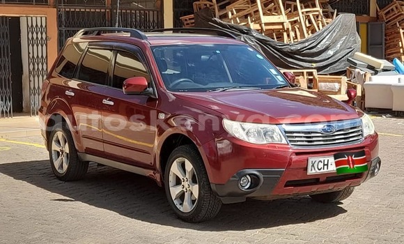 Buy Used Subaru Forester Red Car in Nairobi in Nairobi