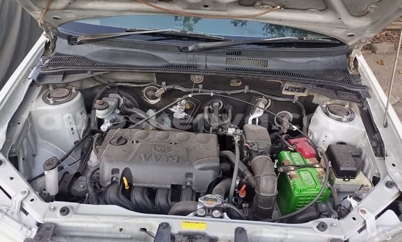 Nunua Ilio tumika Toyota Probox Nyeupe Gari ndani ya Nairobi nchini Nairobi Nunua Ilio tumika Toyota Probox Nyeupe Gari ndani ya Nairobi nchini Nairobi