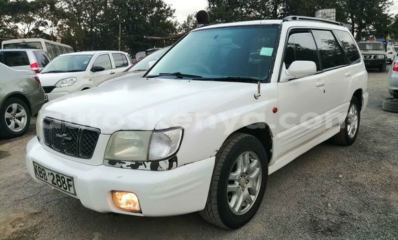 Buy Used Subaru Forester White Car in Nairobi in Nairobi
