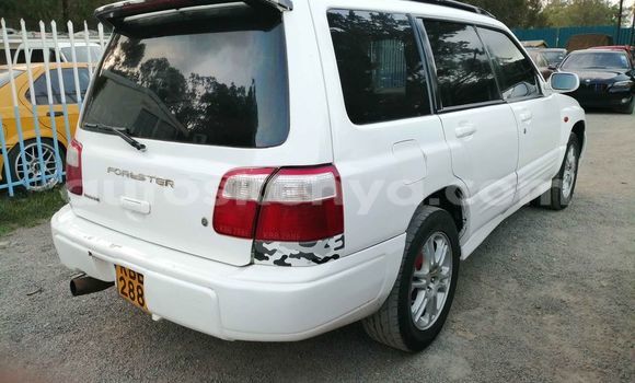 Oofamaa Subaru Forester White Makiinaa iti Nairobi keessatti Nairobi keessatti Oofamaa Subaru Forester White Makiinaa iti Nairobi keessatti Nairobi keessatti