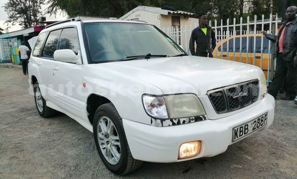 Oofamaa Subaru Forester White Makiinaa iti Nairobi keessatti Nairobi keessatti Oofamaa Subaru Forester White Makiinaa iti Nairobi keessatti Nairobi keessatti